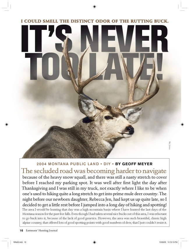 PortfolioScottLarsen#1B80C4